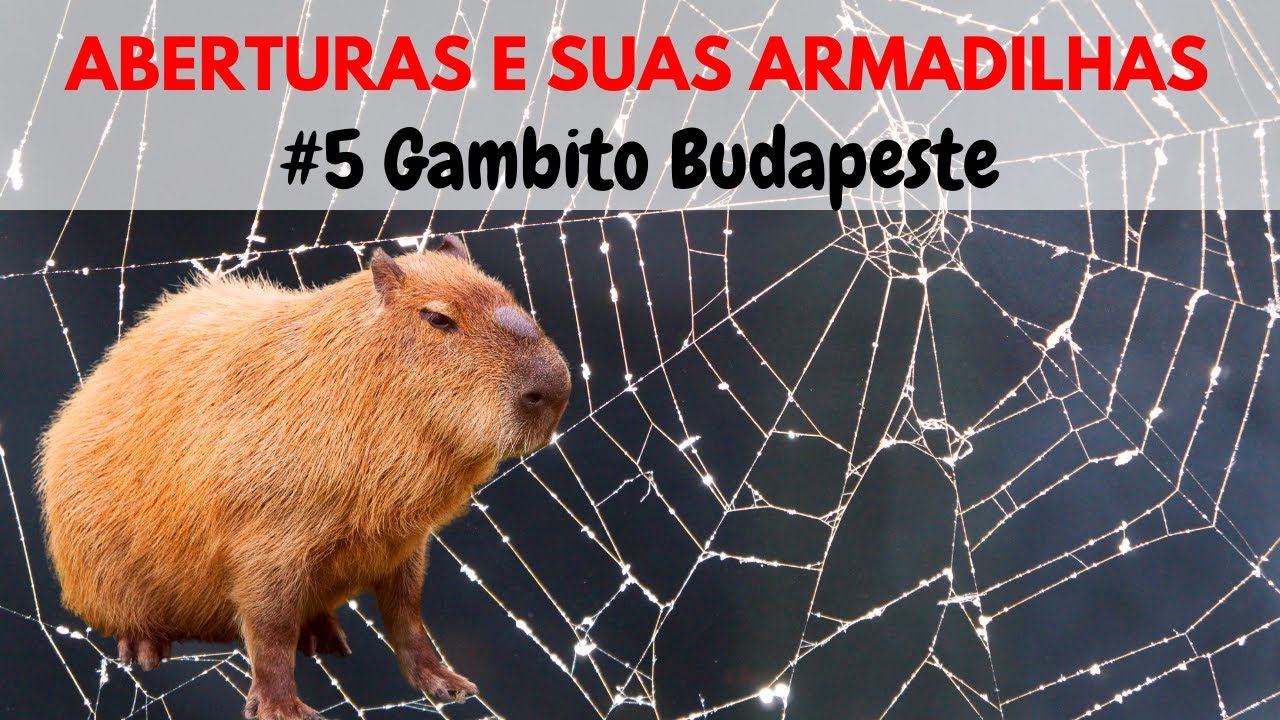 Armadilhas do Gambito Budapeste | Aberturas e suas armadilhas