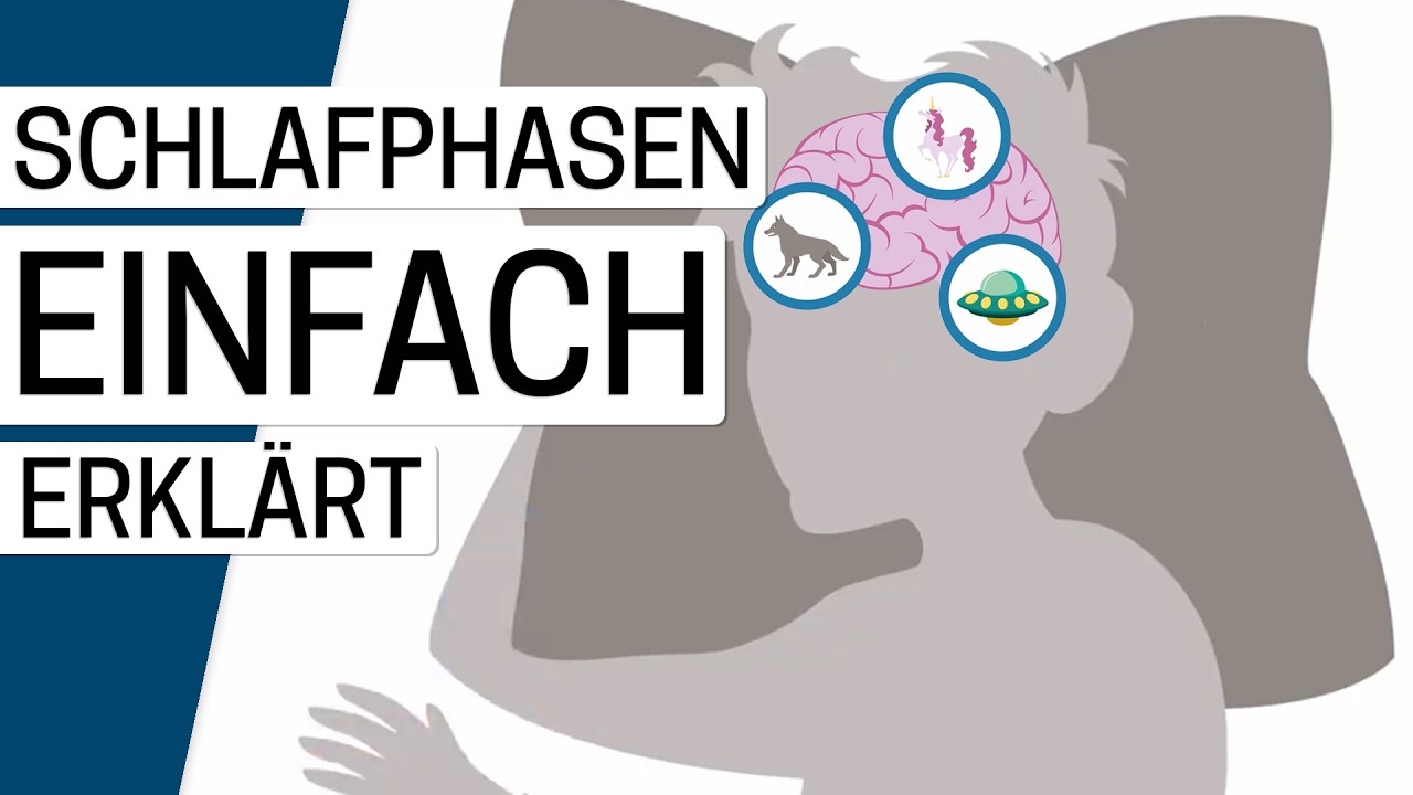 Die Schlafphasen erklärt: Was passiert im Schlaf?