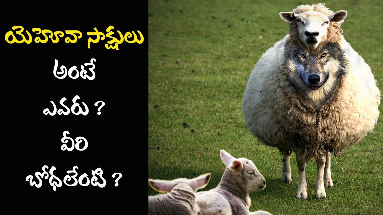 ప్ర: యెహోవాసాక్షులు అంటే ఎవరు? వీరి బోధలేమిటి?