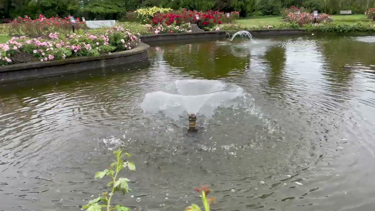 Fuente de Agua en Parque de Flores 🌸 1 Hora de Sonidos de la Naturaleza para Dormir y Relajarse