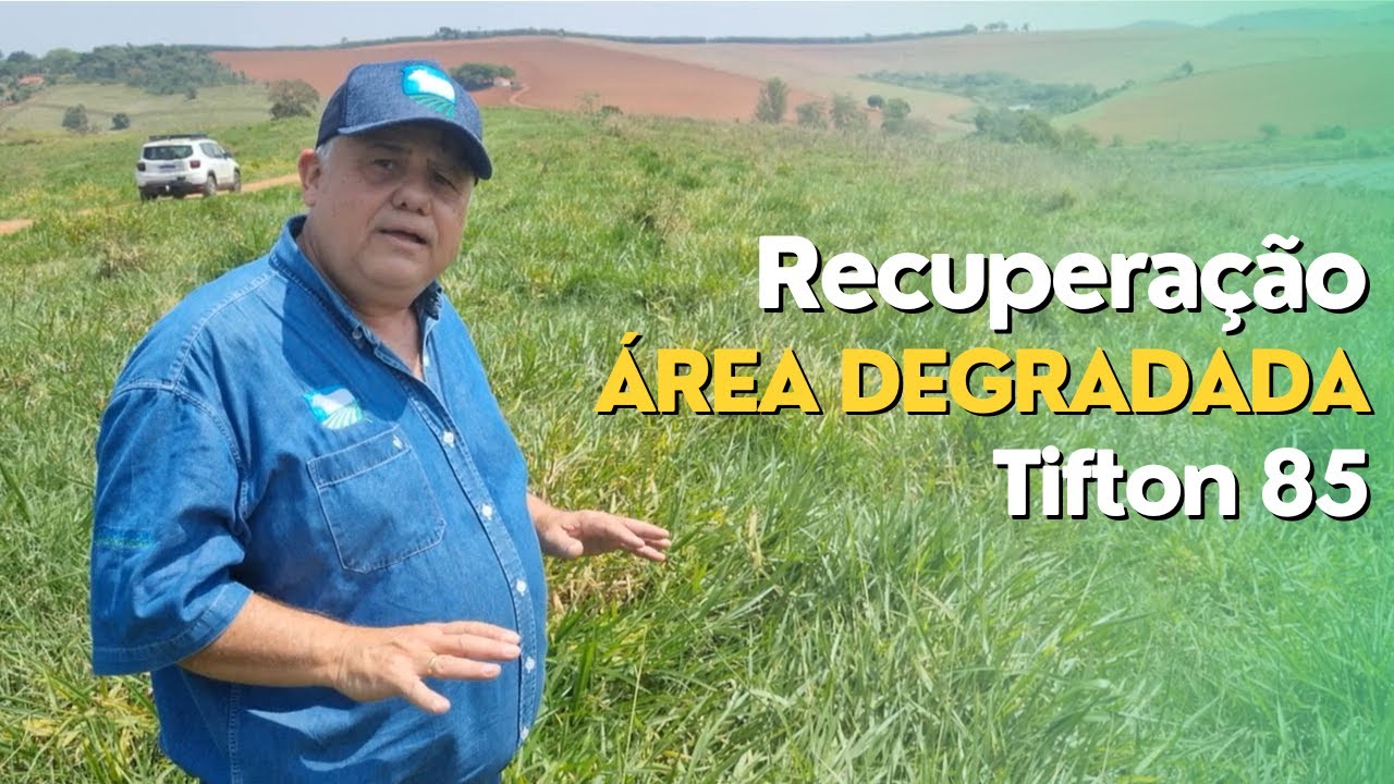 Recuperação de Área Degradada com Tifton 85 Ep#201