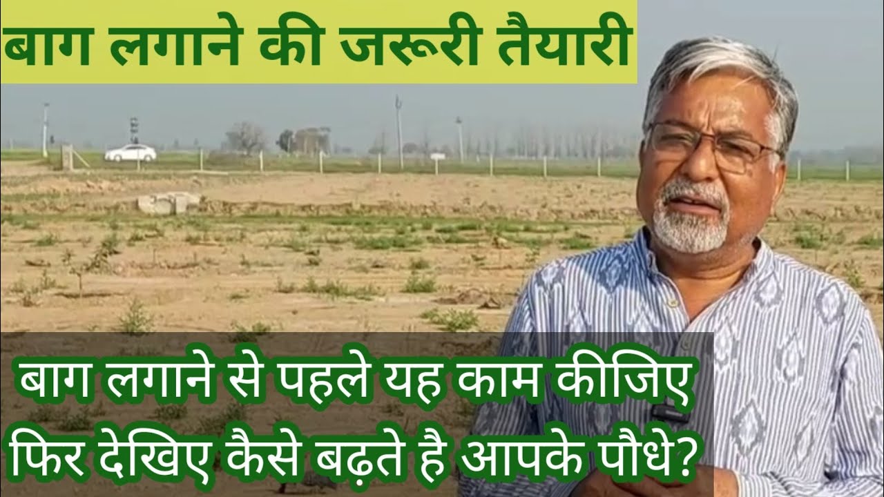 362. बाग लगाए इस तरह, फिर देखिए पौधें कितनी जल्दी तैयार होते है। Hisar Safeda orchard establishing.