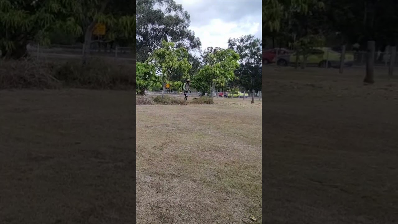 Satisfying FREE whipper snipping job #overgrown #satisfying #rewarding #free