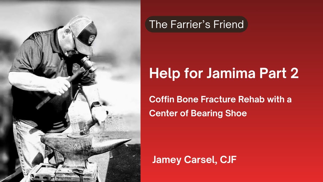 Help for Jamima Part 2   Coffin Bone Fracture Rehab with a  Center of Bearing Shoe