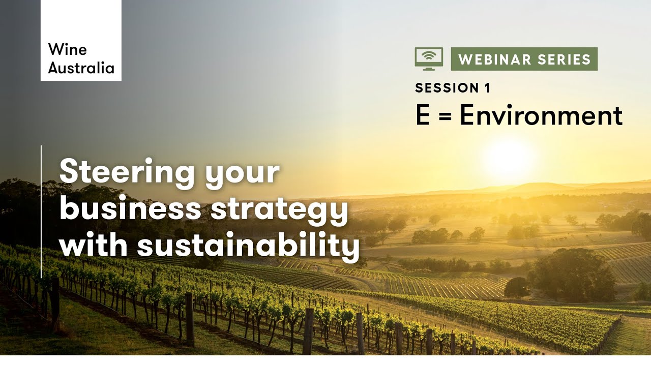 ESG Steering your business strategy with sustainability | Environment