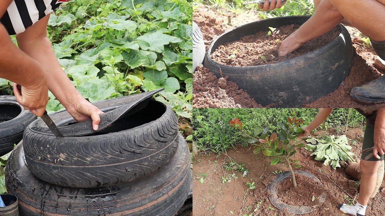 REUTILIZANDO PNEUS PARA PLANTAR VERDURAS E ECONOMIZAR NA IRRIGAÇÃO