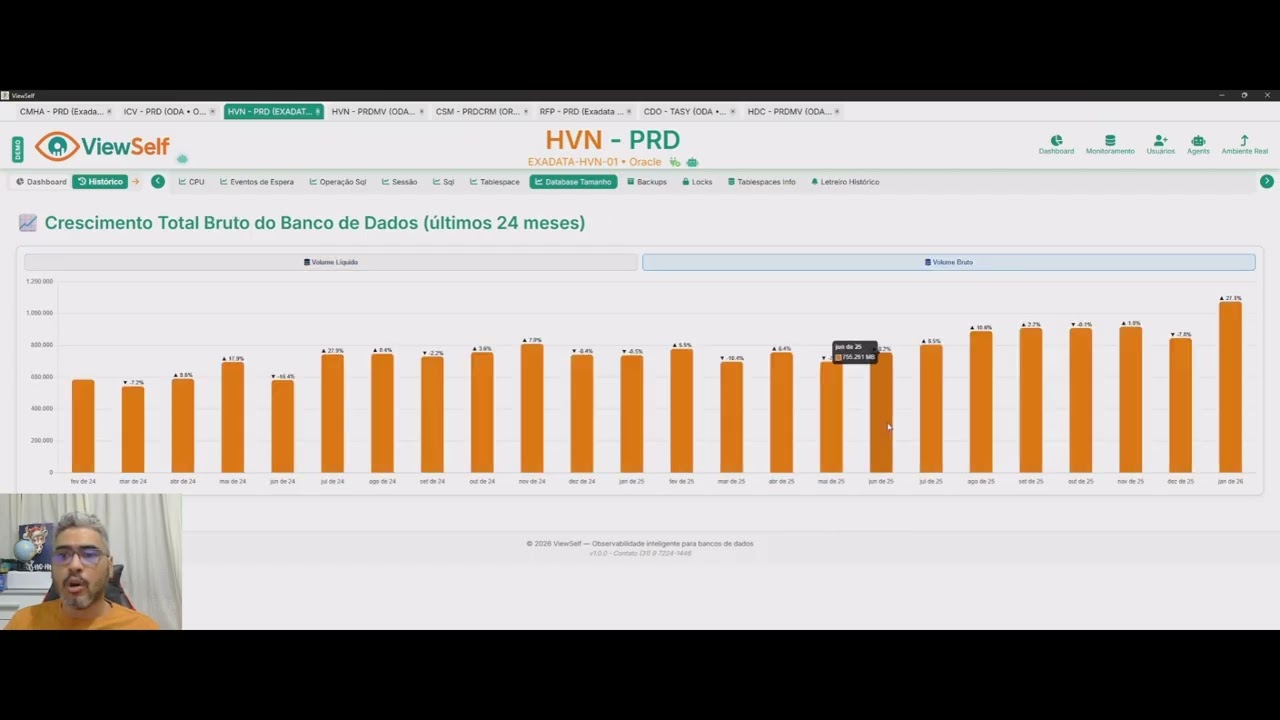 ViewSelf - Monitorando vários bancos de dados Oracle de forma simultânea