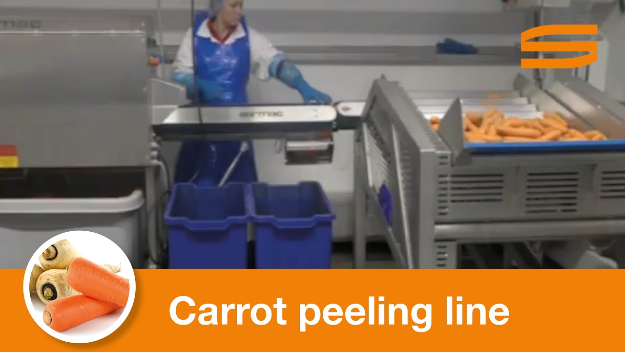Carrot peeling line (small) - Sormac