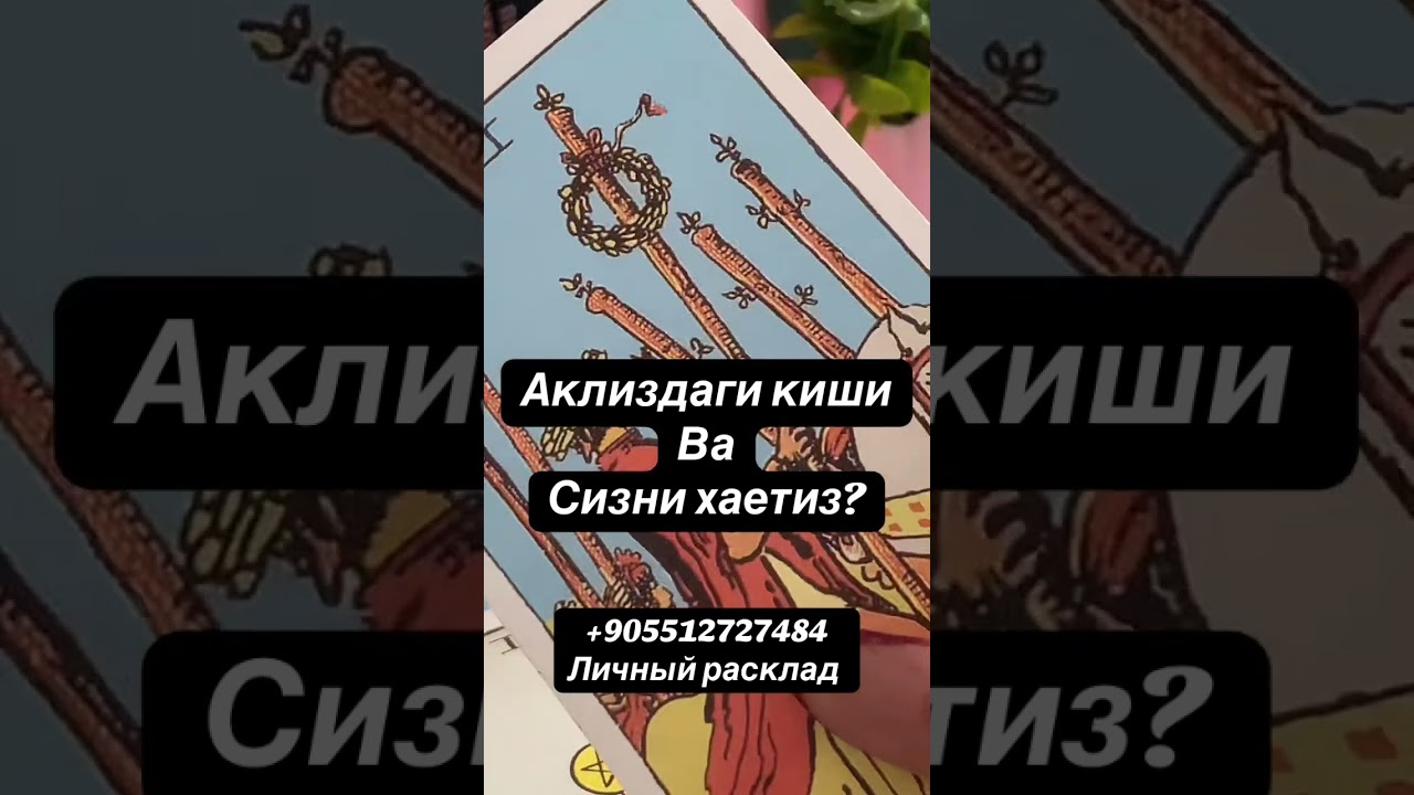 АКЛИЗДАГИ КИШИ БН НИМА БОЛАДИ ОРТАНГИЗДА❤️🔮🕊️🍃💔