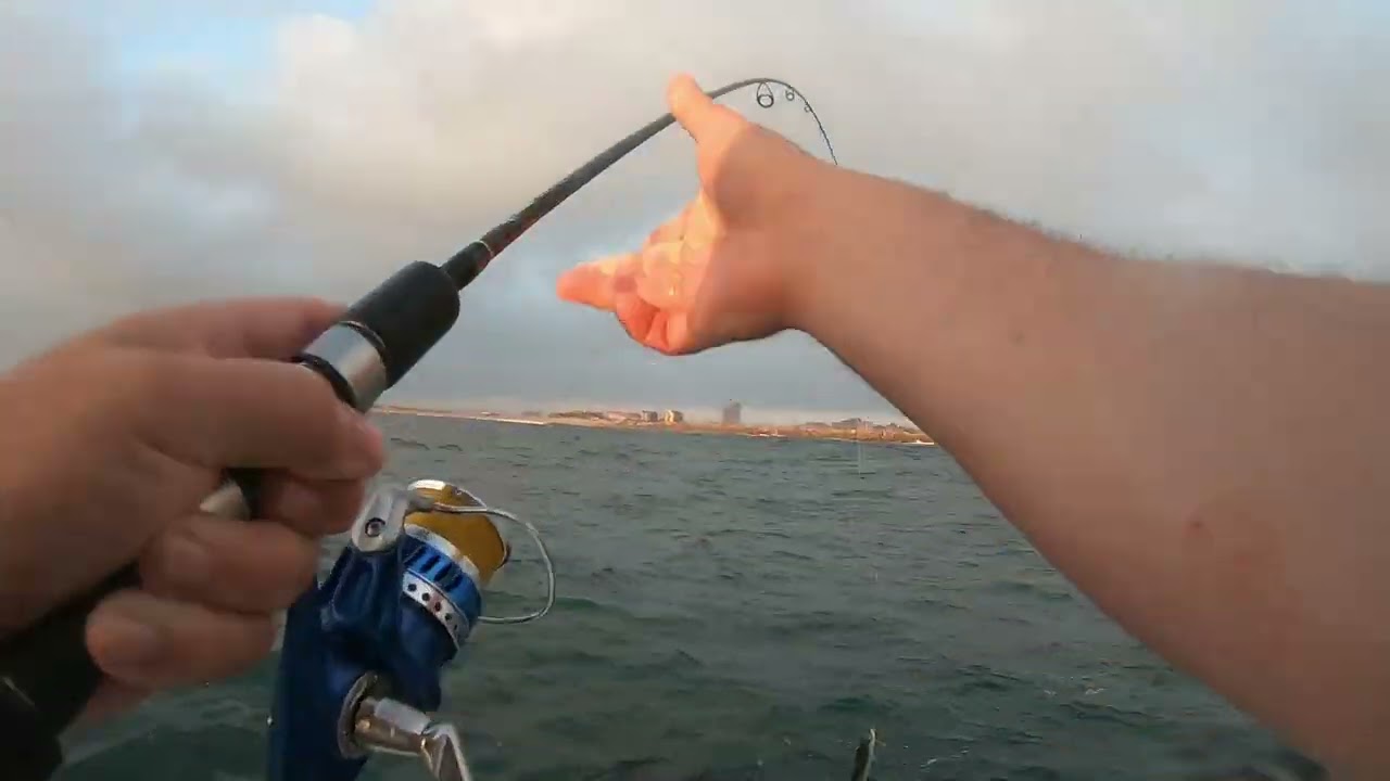 The Shad's are Back -Catching bait offshore - South pier Durban