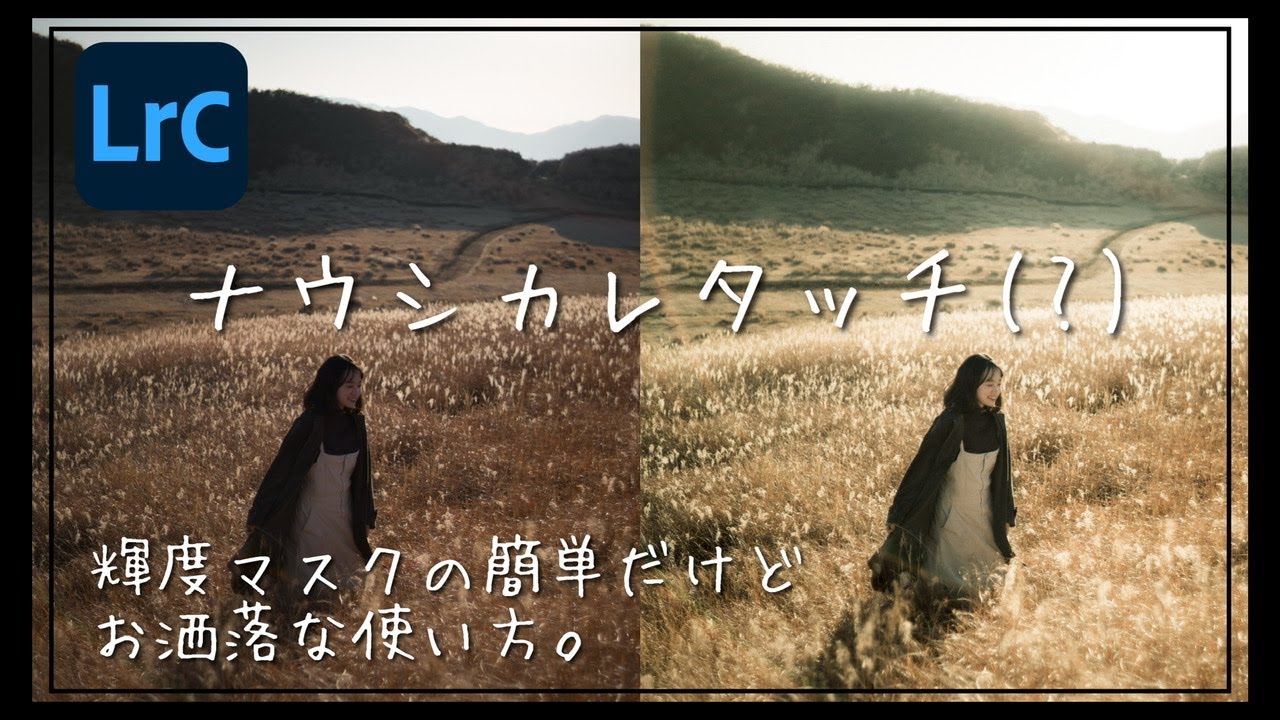ナウシカレタッチ(?) 輝度マスクの簡単だけどおしゃれな使い方。 Lightroom Photo Editing II-36 | RGB Tone curve Before and After