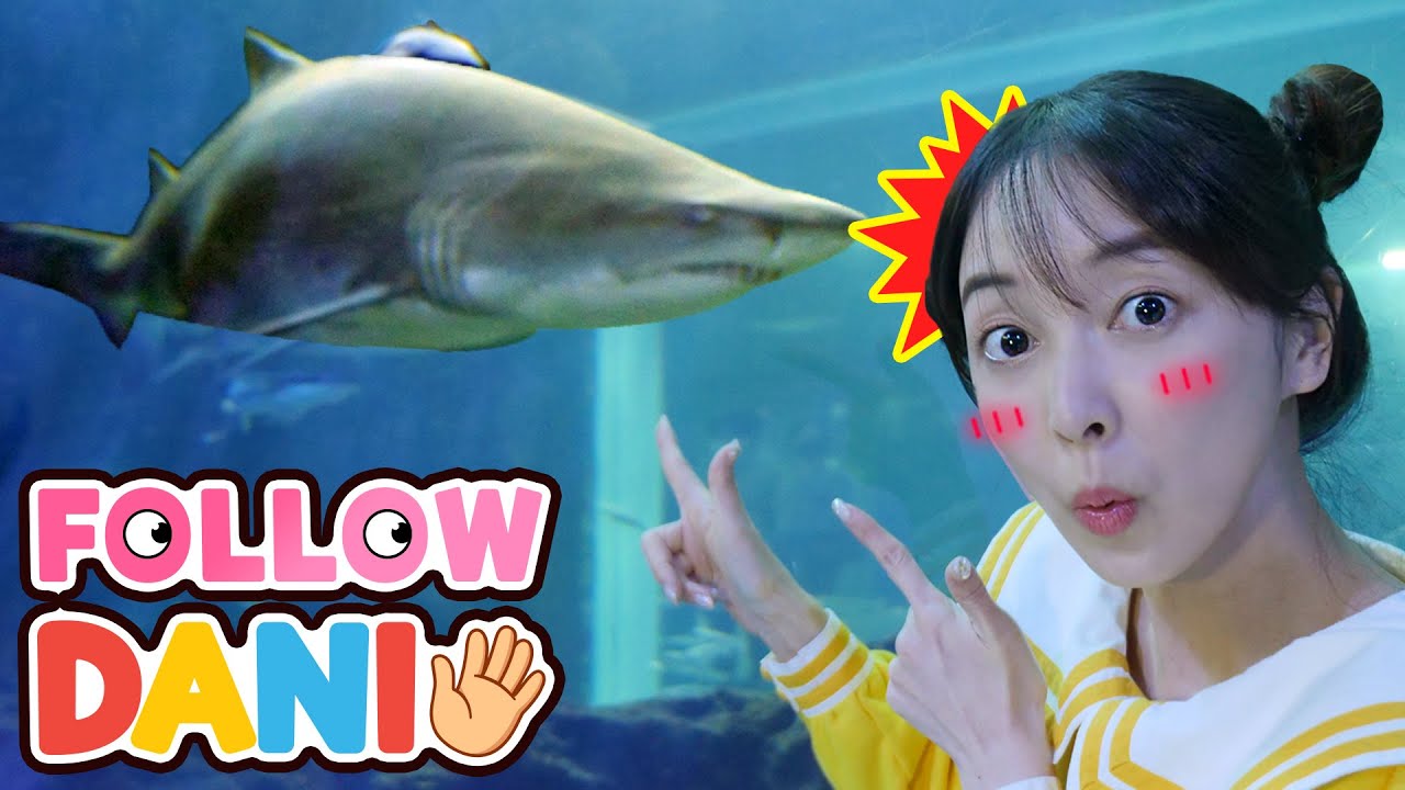 어린이 유튜브 틀어줘 🌟🎬 Follow DANI 🧸 바다 동물이 가득한 상어가 있는 아쿠아리움에 가요 [다니유치원]