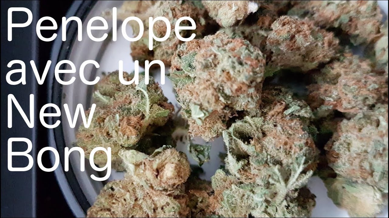 SQDC - Tweed - Penelope Avec un Nouveau Bong