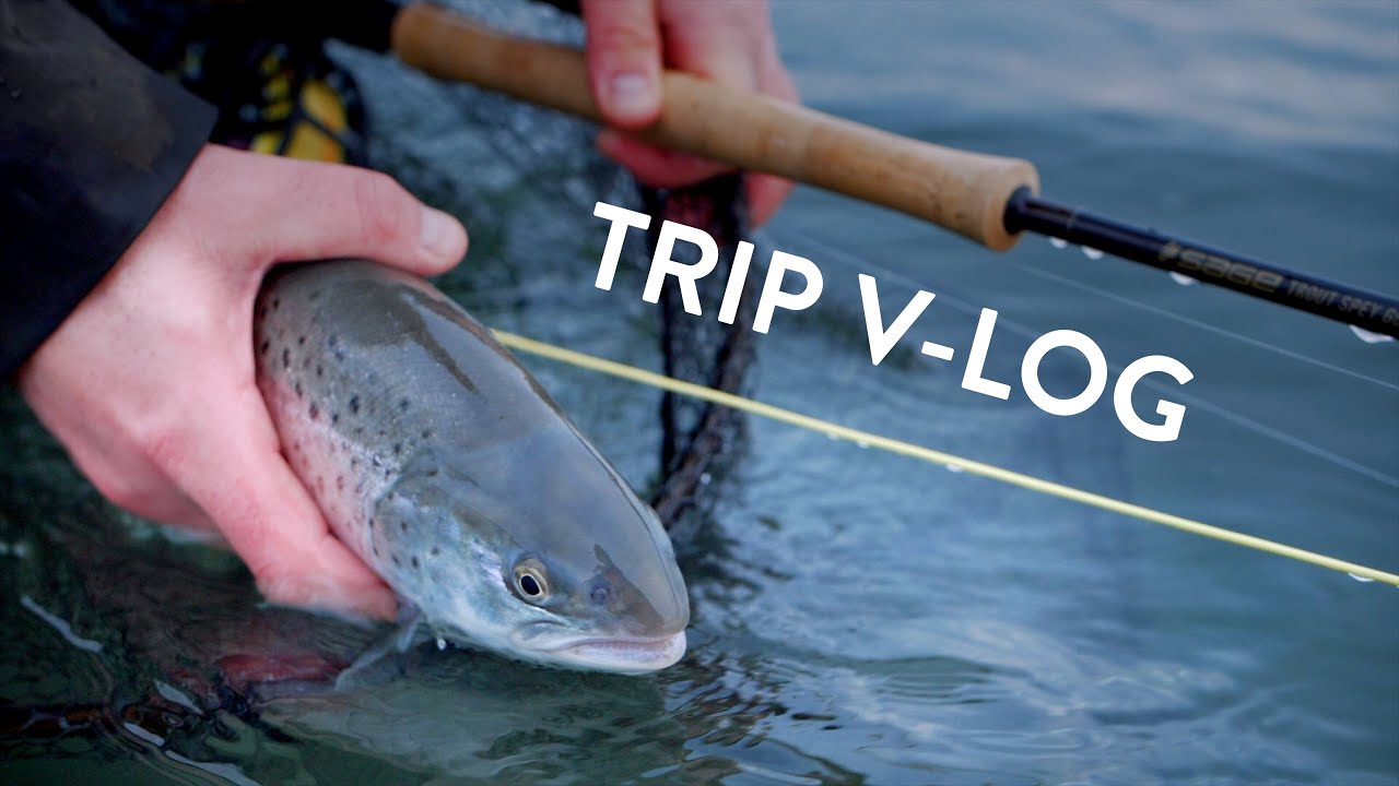TRIP V-LOG - Winter Seatrout on the Danish coast!
