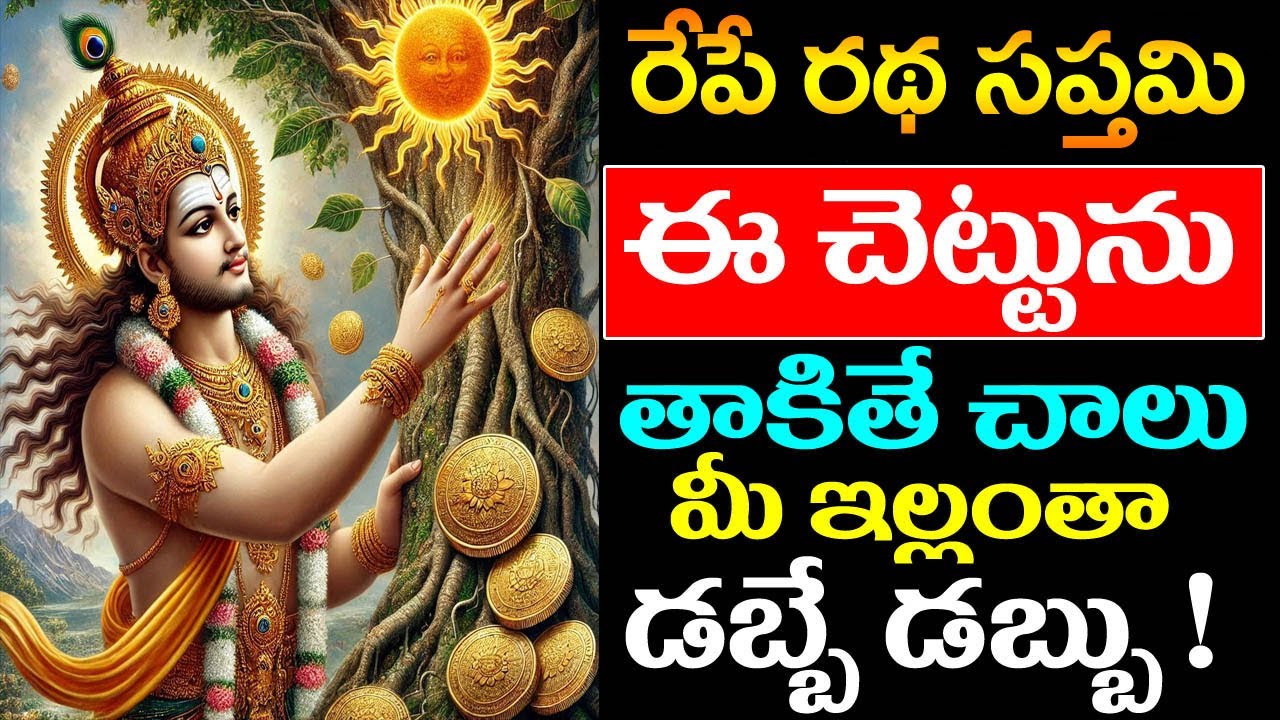 రేపే రథ సప్తమి అదృష్టవంతులు మాత్రమే ఈ చెట్టును తాకుతారు ! ఇంట్లో కనక వర్షమే ! #rathasaptami