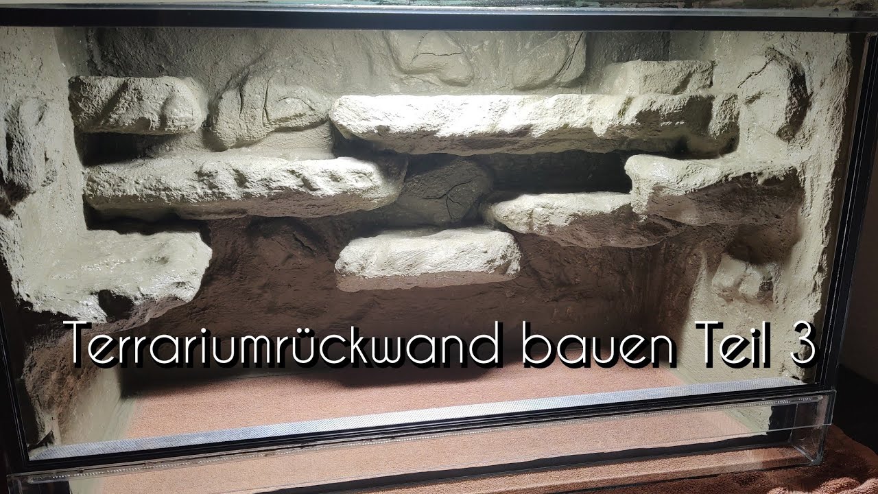Terrariumrückwand bauen Teil 3
