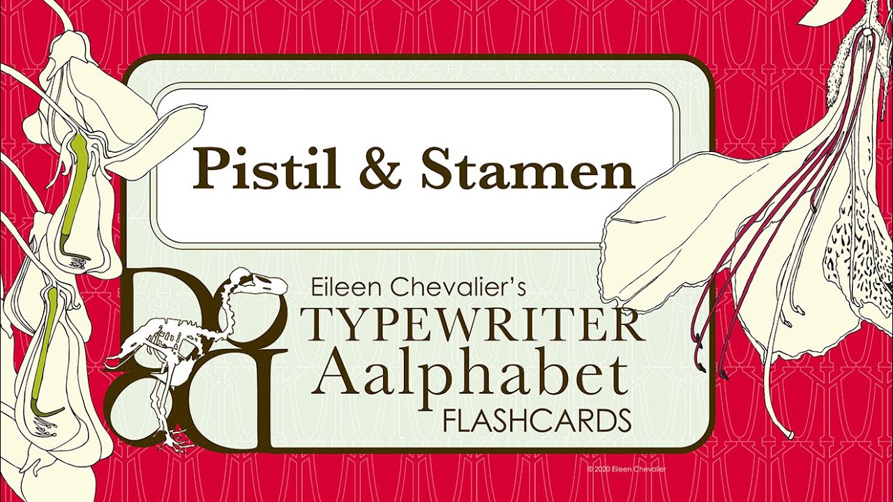 Botany Lesson 22: Pistil & Stamen