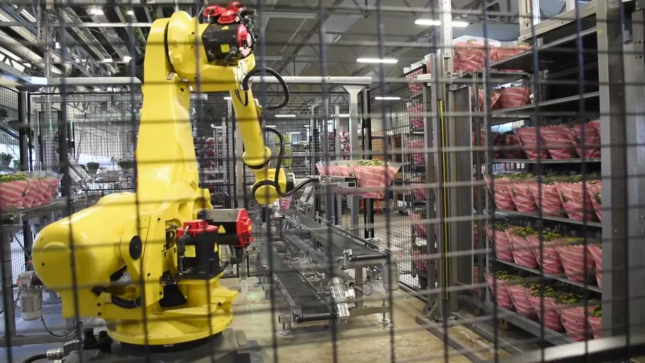 SV.CO - Crea-Tech Smart Sleever + Cart Loader