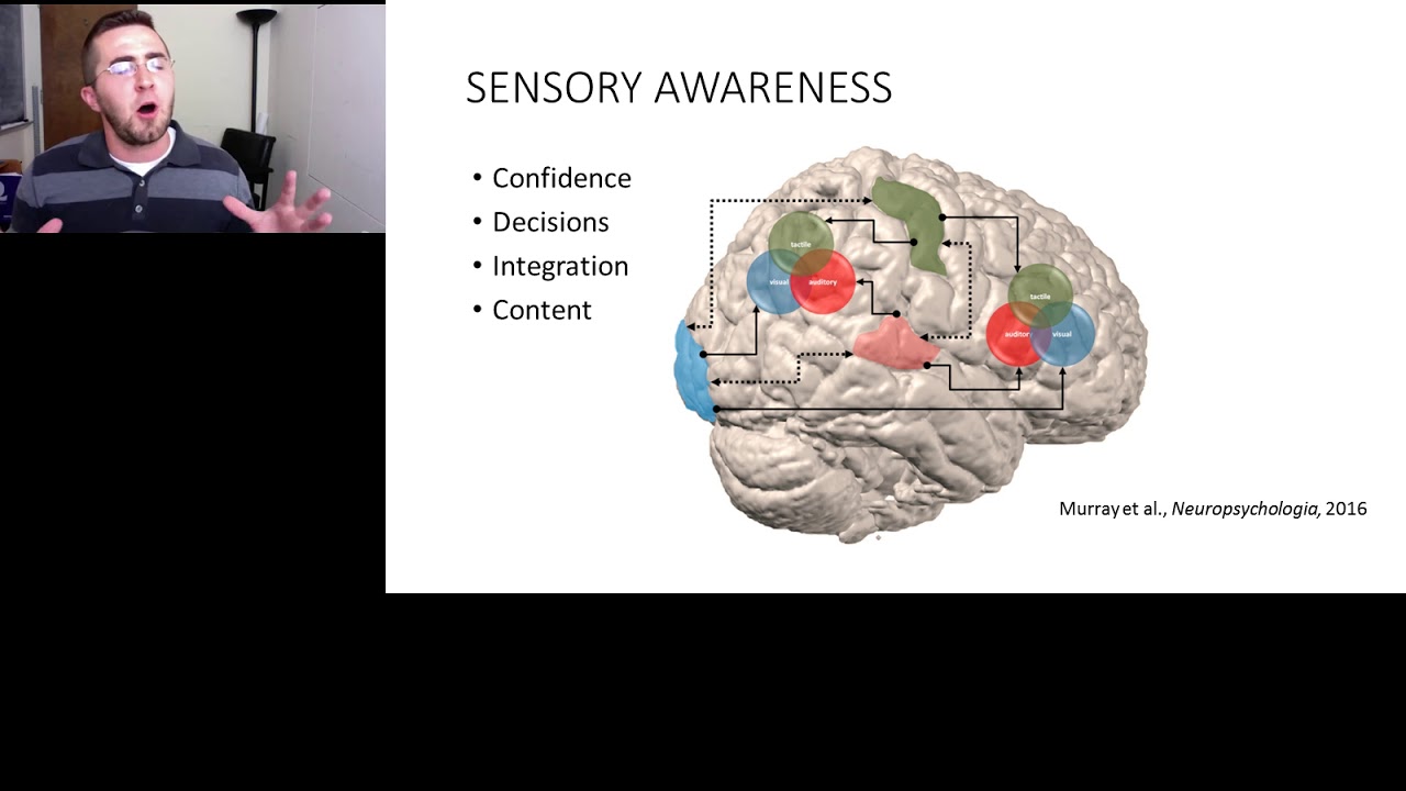 Investigating the Locus of Conscious Sensory Experience in the Brain