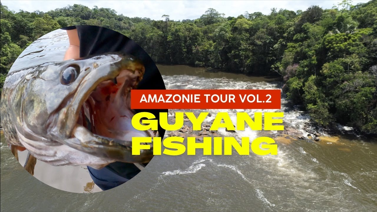 Pêche de l’Aïmara en Amazonie - Capture du Géant de la Jungle Guyanaise