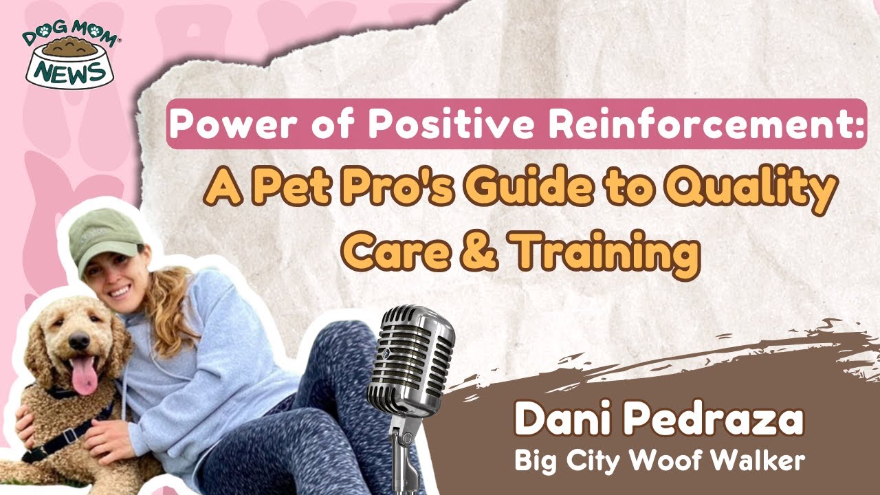 Dani Pedraza's New And Exciting Innovations In Dog Walking (Dog Mom Biz)