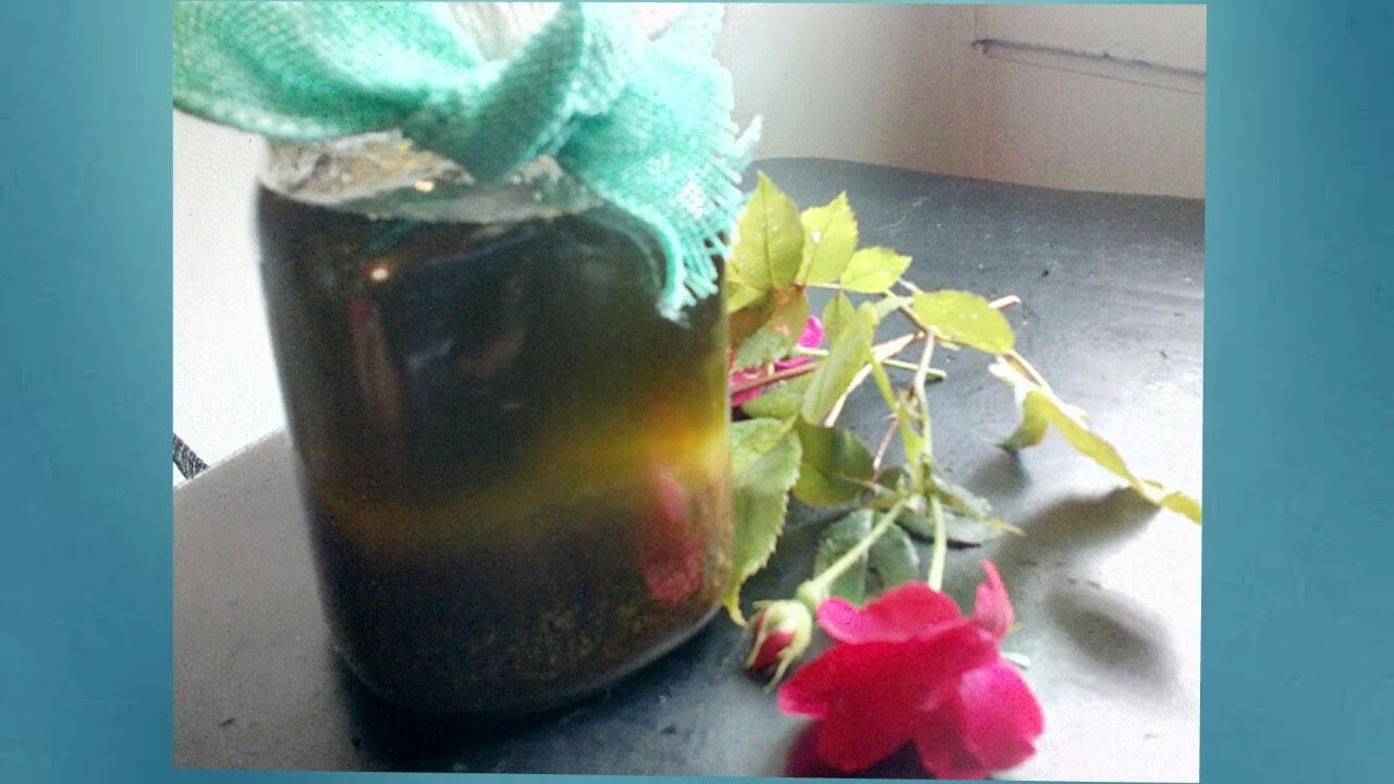 How to Make Your Very Own Chebe Oil or Chebe Henna Oil for Moisturized Hair