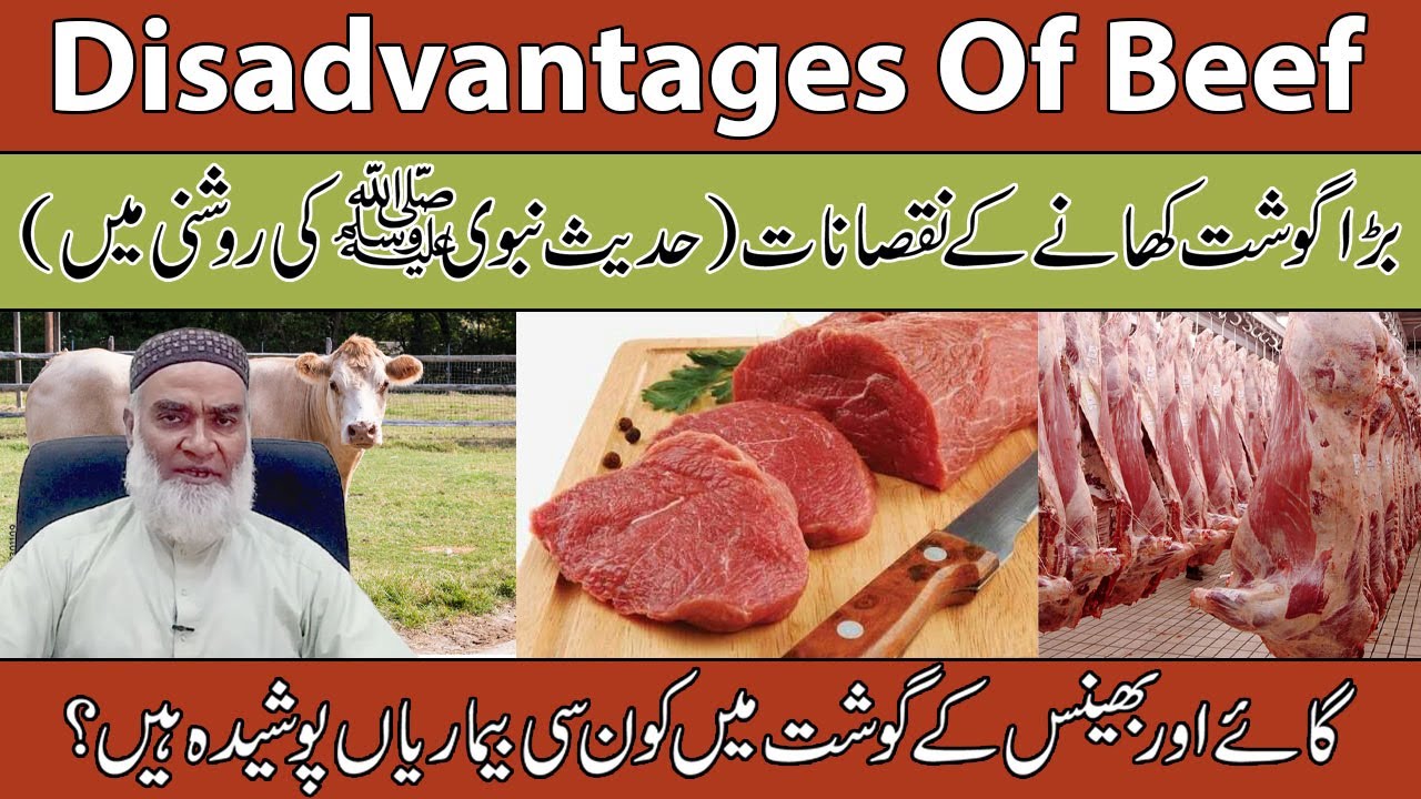 Disadvantages Of Beef In Urdu/Hindi | Bade Ka Gosht-Gosht Khane Ke Nuksan | Al-Razaqi Health Recover