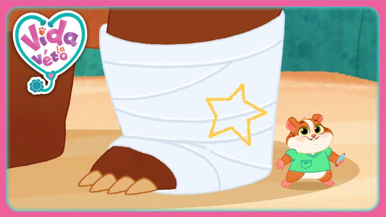 Otto A Mal A La Jambe (Compilation) | Vida la V&eacute;to | Dessins Anim&eacute;s Pour Enfants