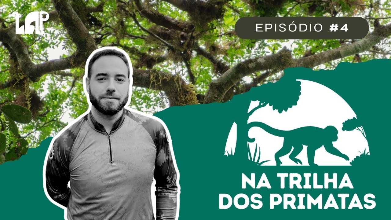 Na Trilha dos Primatas: Episódio #4 - 