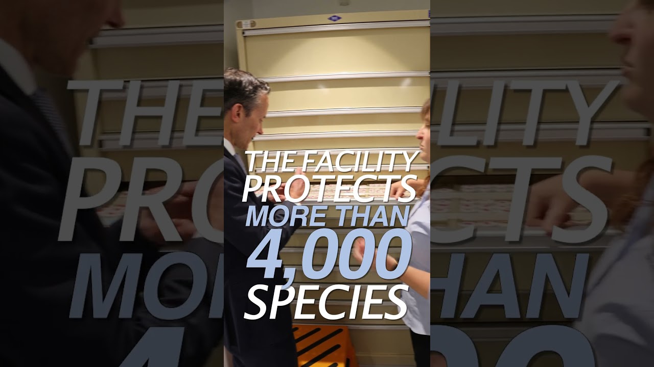 Canberra’s National Seed Bank just had a $5.7m upgrade