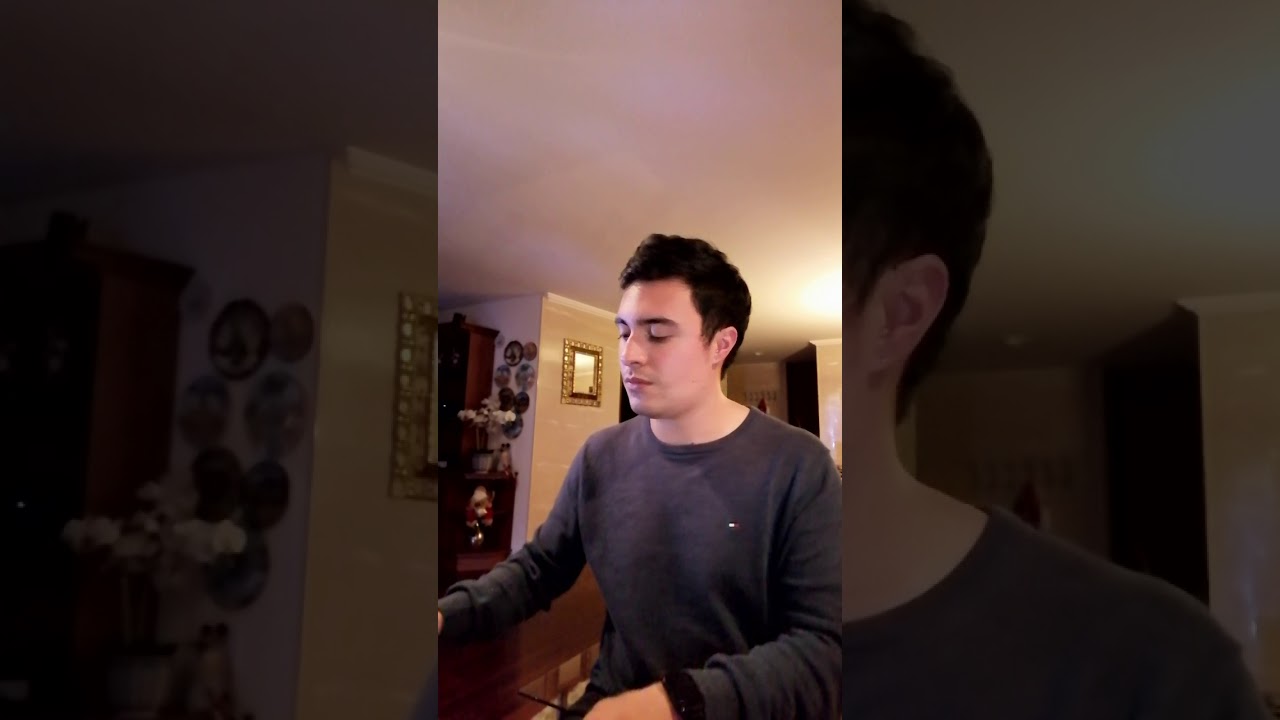 Bachata Rosa (Cover de Juan Luis Guerra) Daniel Segura