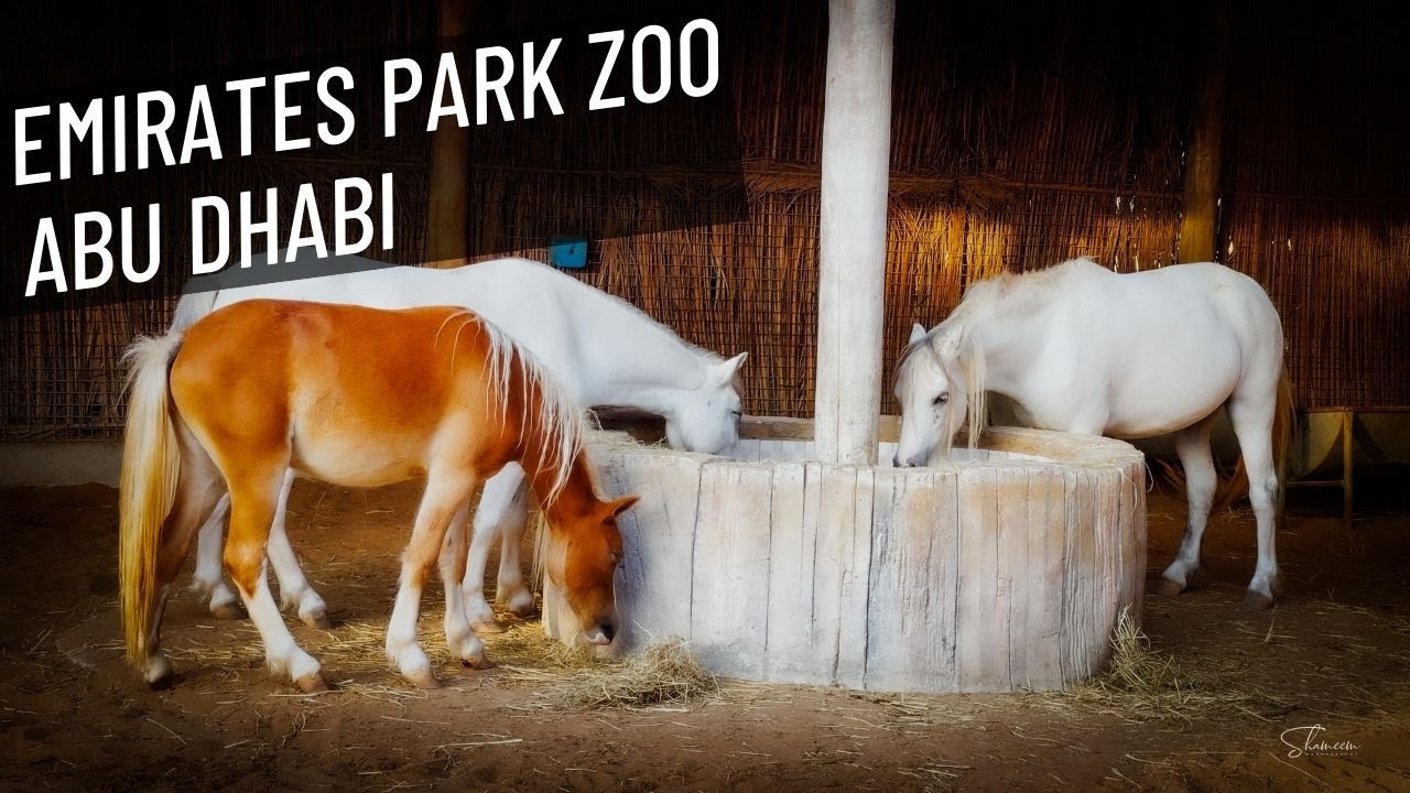 Emirates Park Zoo | Abu Dhabi | United Arab Emirate | 4K