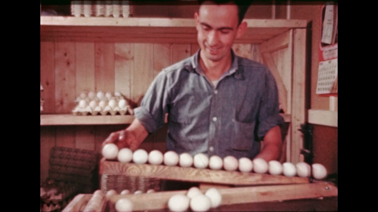 Feathered Fortune 1947 Fc43