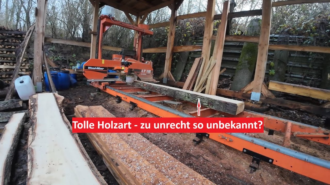 Was ist einer der besten Nadelhölzer? Hast du diese Holzart auf dem Schirm?