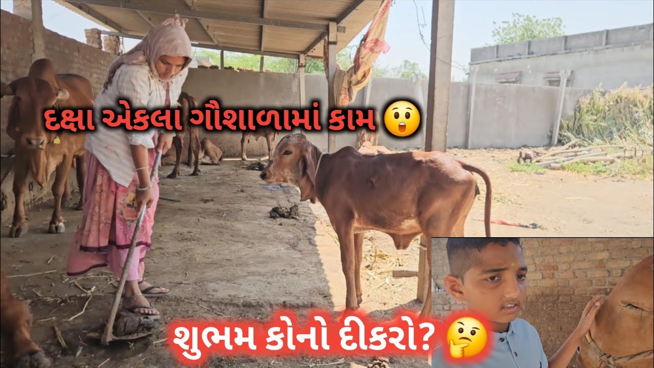 ગૌશાળામાં દક્ષા એ એકલા બધું કામ કર્યુ 😲 | શુભમ કોનો દીકરો? 🤔 | Village Life Daksha Ahir Vlogs