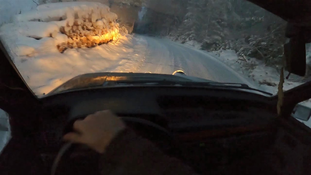 Fiat Uno ja linttaa
