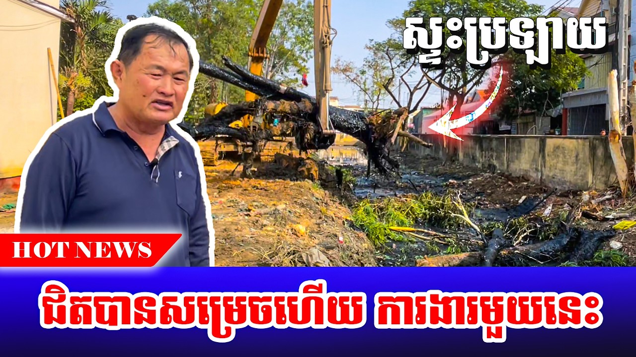 ដើមឈើនៅជិតប្រឡាយបាក់ចូលប្រឡាយ ធ្វើឱ្យស្ទះ