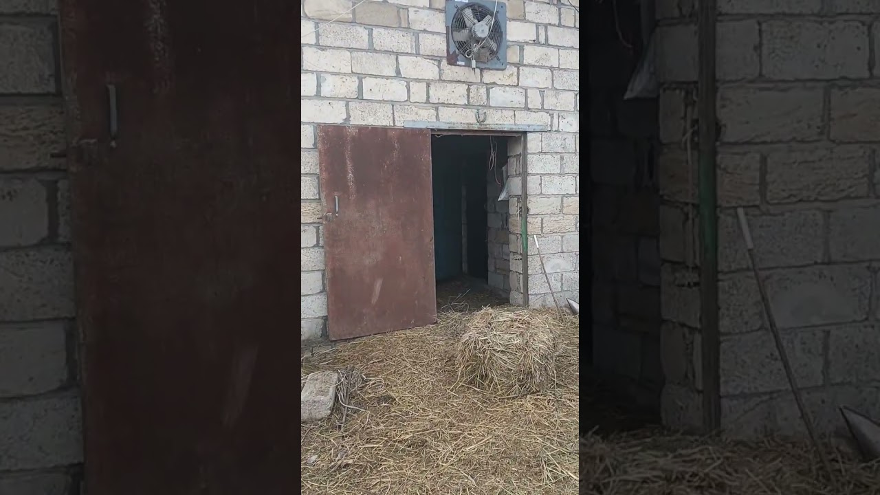 Bərdə rayonu Xanərəb kəndi Ferma satılır 
