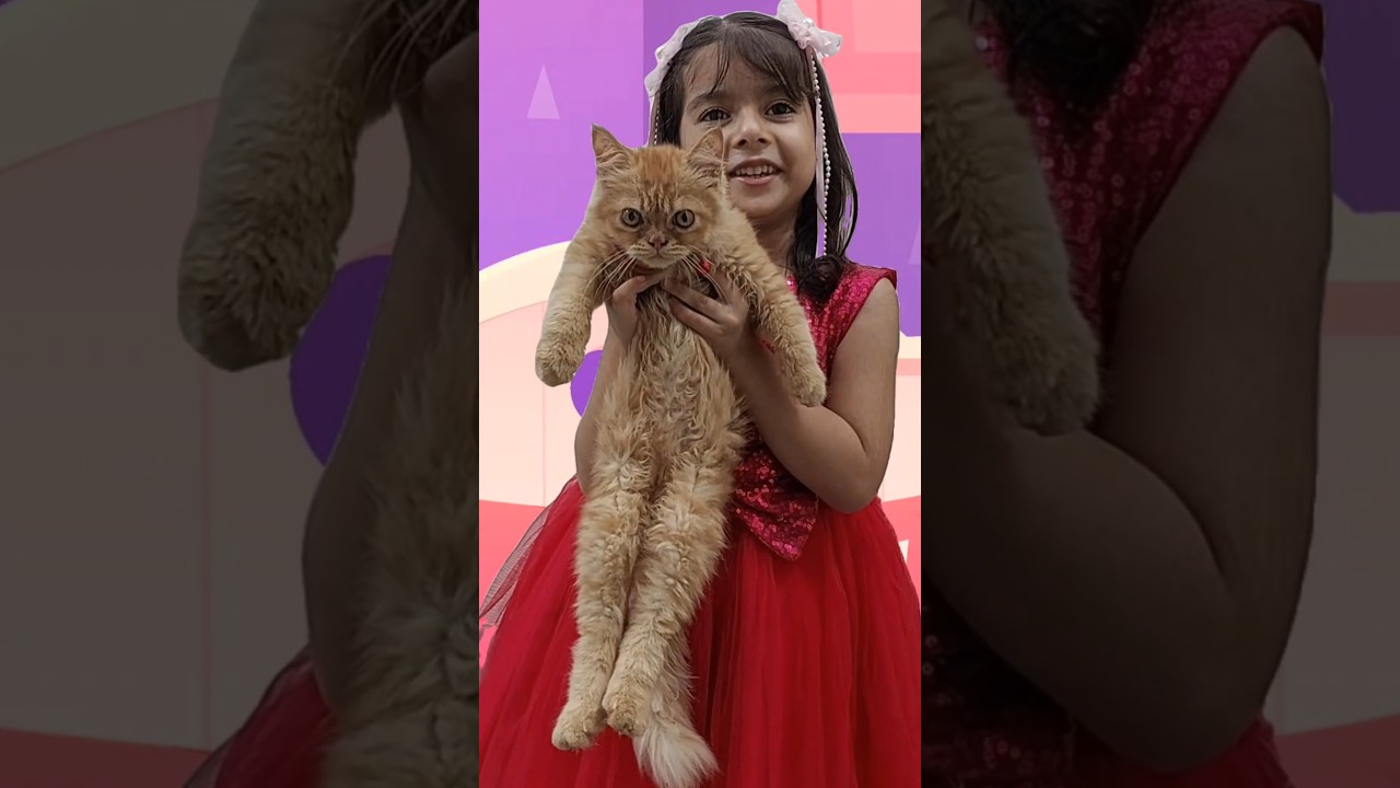 Purr-fect Kitty: Meeting the New Friend! #cats #nurseryrhymes