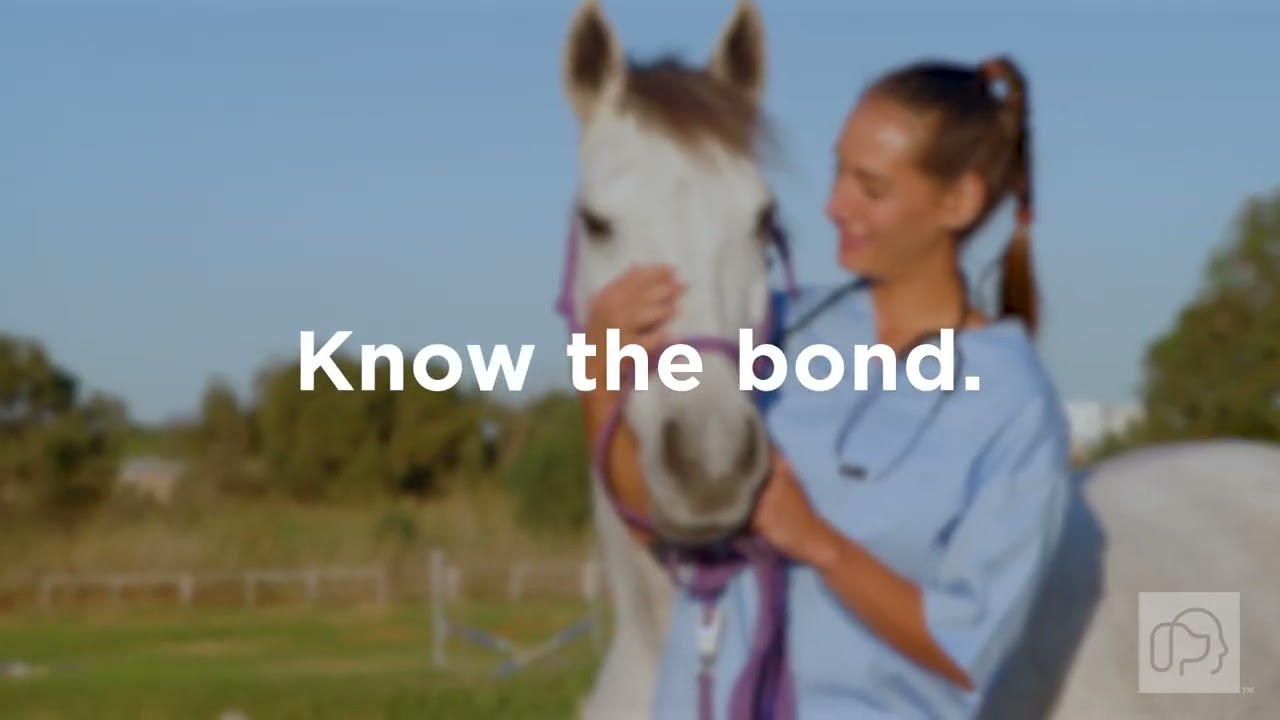 Why YOU Should Become Human-Animal Bond Certified