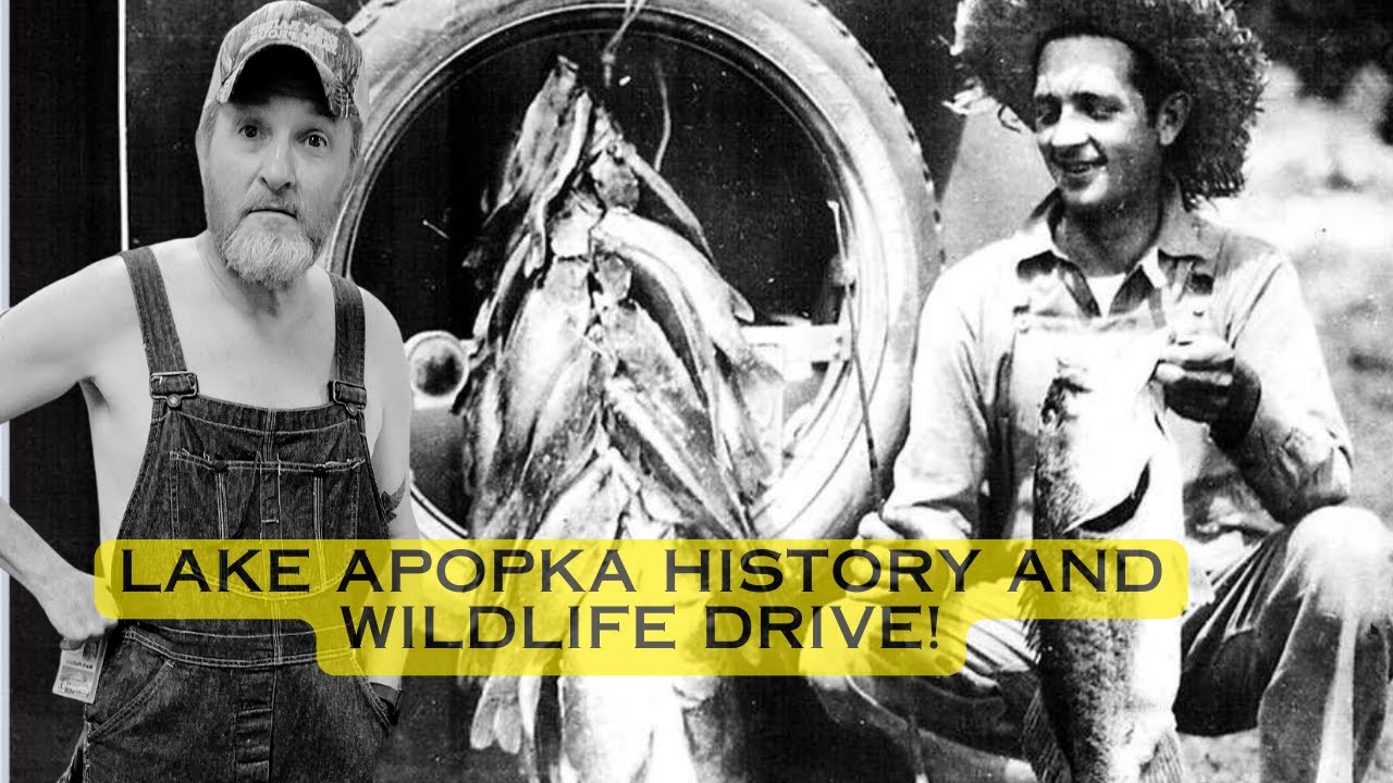 History and Tour-Lake Apopka Wildlife Drive