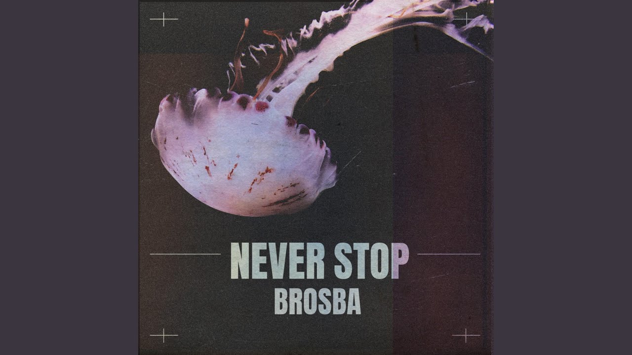 Never Stop