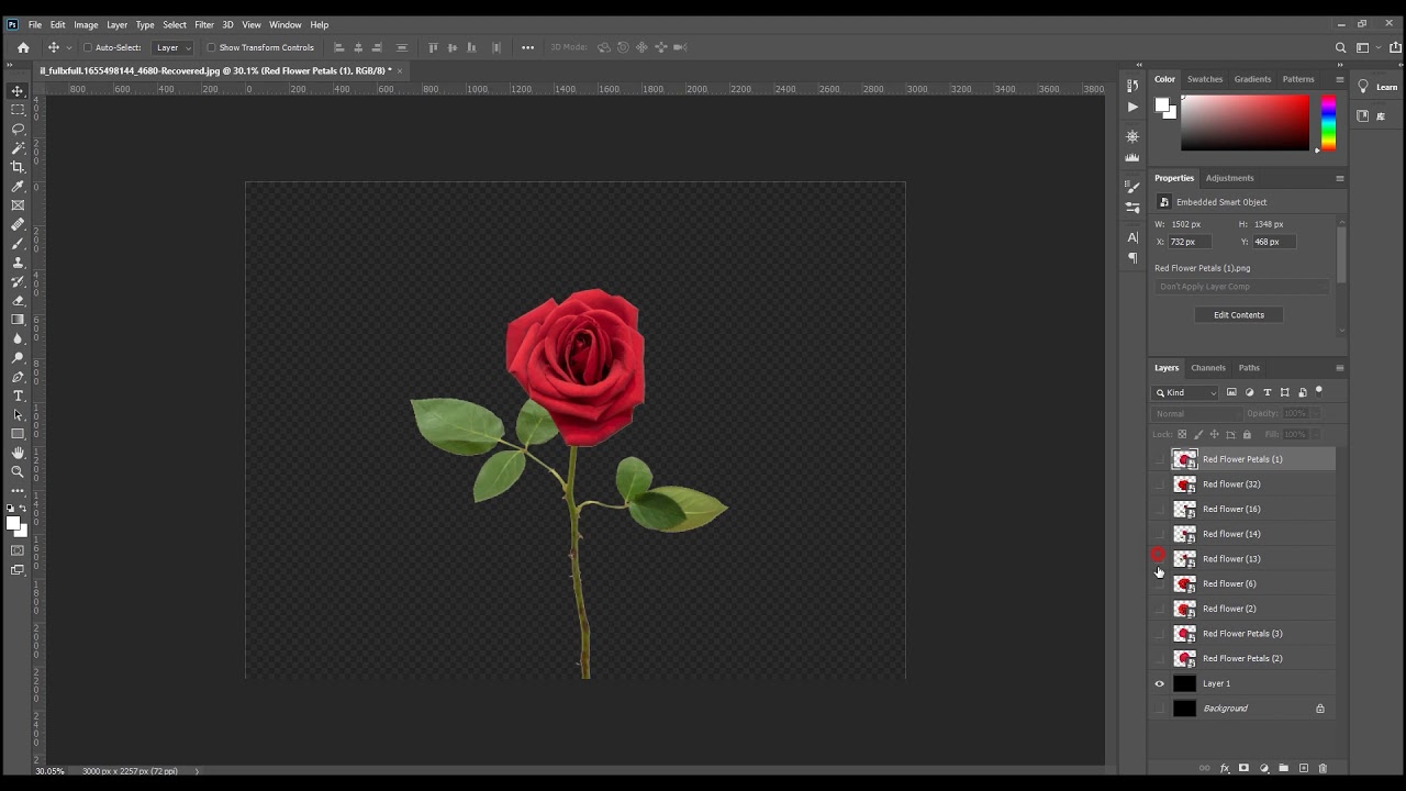 Rose petals overlays：wedding overlays，Falling rose petals PNG photoshop overlays