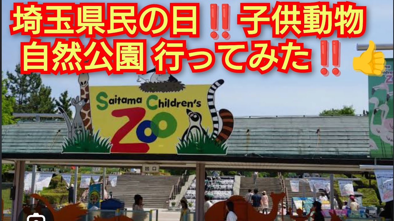 埼玉県民の日‼️埼玉県こども動物自然公園 行ってみた‼️埼玉県東松山市‼️2024年11月14日‼️！