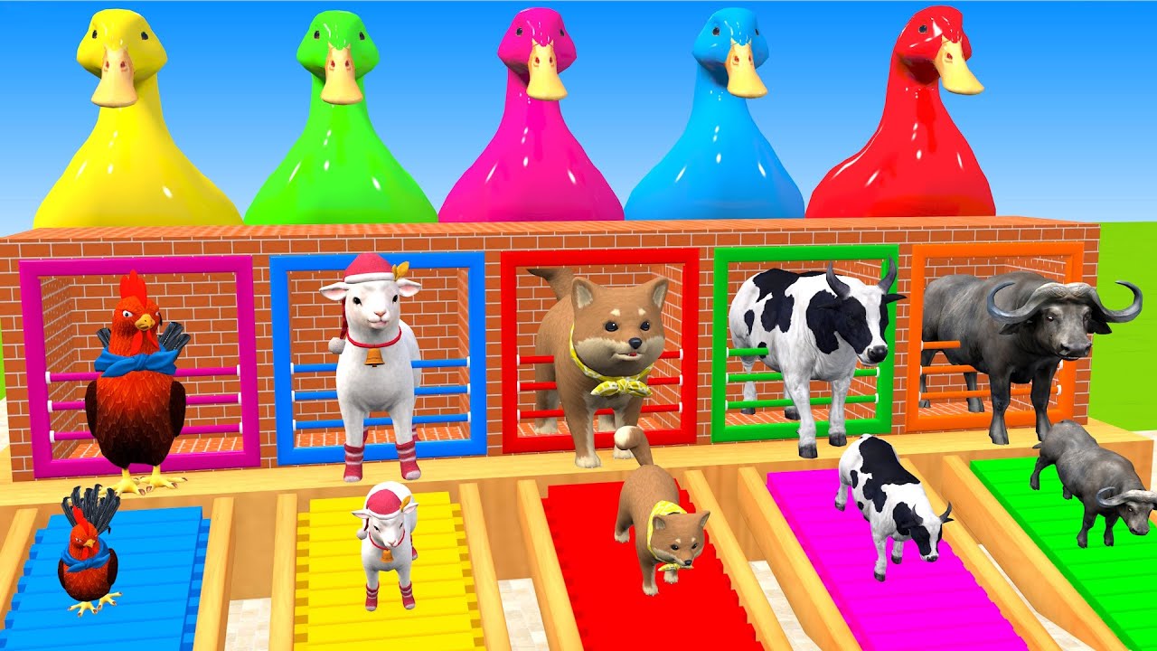 Long Slide Game With Cow Elephant Gorilla Hippopotamus Tiger 3d Animal Game Funny 3d Animals