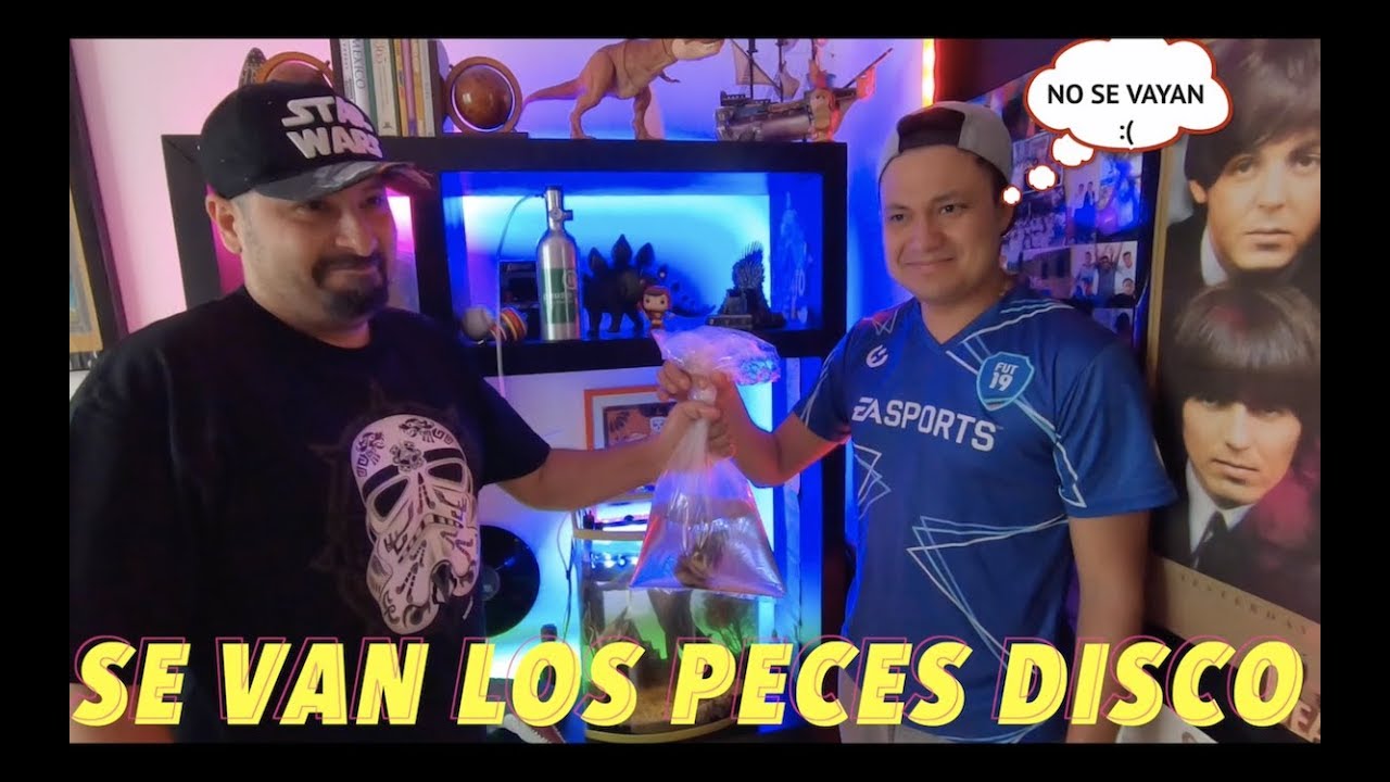 ENTREGO LOS PRIMEROS PECES DE LUISITO REY||||||😀🐠🐠