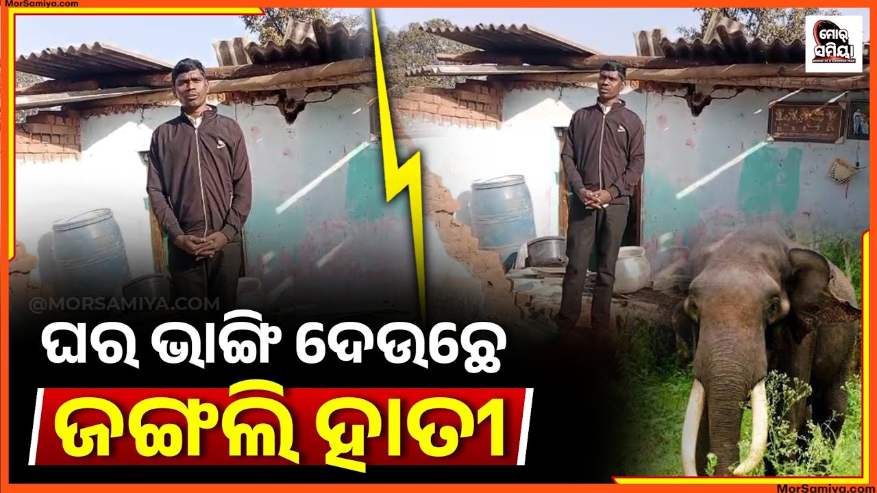 ହାତୀ ଆକ୍ରମଣରେ ଭାଙ୍ଗି ଜାଇଛେ ଘର୍ ଦ୍ଵାର