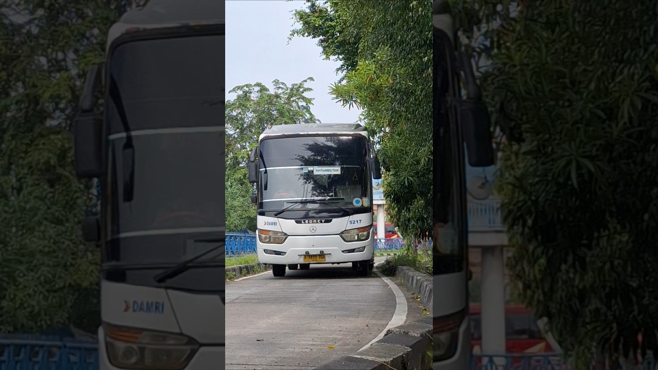 naik bus damri saja #bus #telolet #busmania #basuri #damri