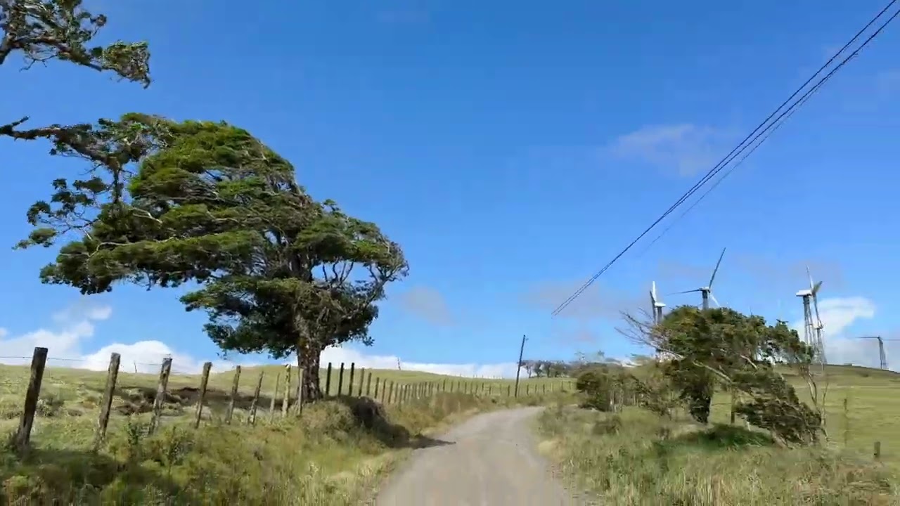a walk among the wind turbines near parcelas