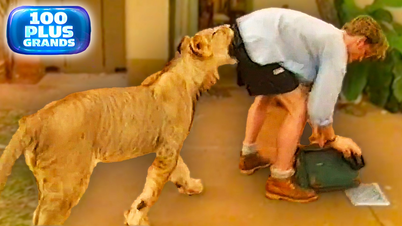 Les 100 Plus Grands D&eacute;lires d'Animaux | B&ecirc;tisier TV | Sandrine & Christophe | Int&eacute;grale - EDL
